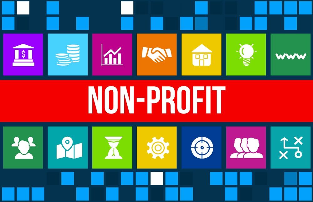 Nonprofit Funding Diversity